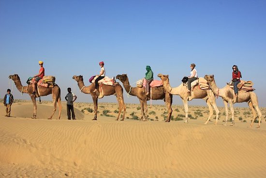 You are currently viewing Take an Unforgettable Camel Safari in Rajasthan’s Magical Thar Desert